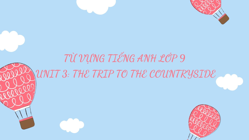Hình minh họa cho từ vựng tiếng Anh lớp 9 - Unit 3